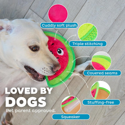 Squeaky Watermelon Toy for Tough Chewers