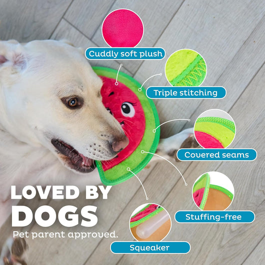 Squeaky Watermelon Toy for Tough Chewers