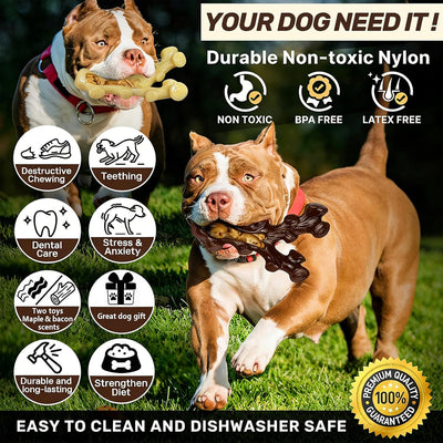 Indestructible Nylon Chew Toys 2-Pack