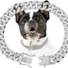 Silver Cuban Link Dog Chain Collar