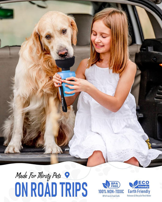 Leakproof Dog Water Bottle with Travel Bowl