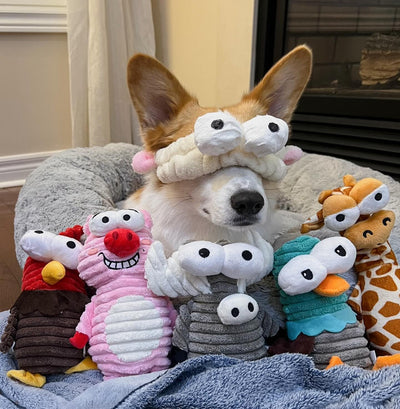 Squeaky Critter Dog Toys 5-Pack