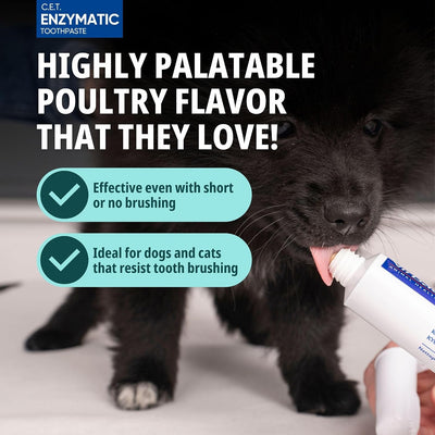 Dog Dental Care Kit | Toothbrush Set