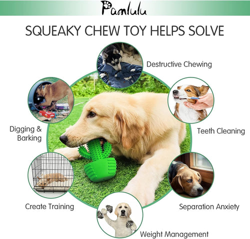 Squeaky Dog Toothbrush Toy for Aggressive Chewers