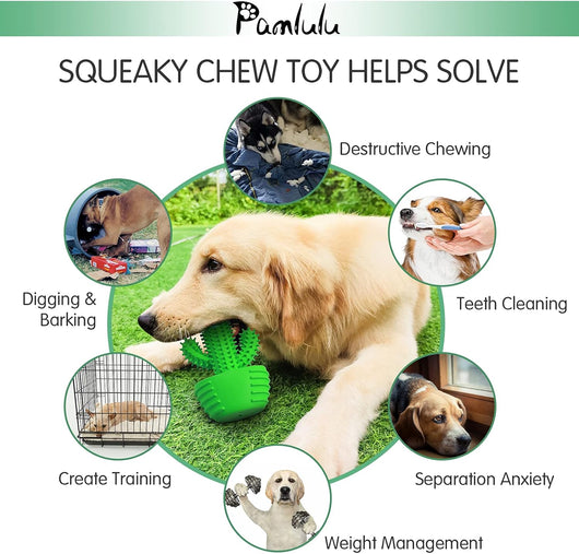 Squeaky Dog Toothbrush Toy for Aggressive Chewers