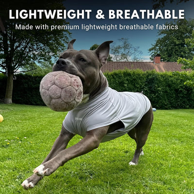 Dog Sun Shirt SPF30 | UV Protection Lightweight Cooling T-Shirt for Pets