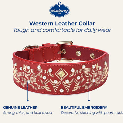 Western Leather Dog Collar | Floral Embroidered Studded Collar