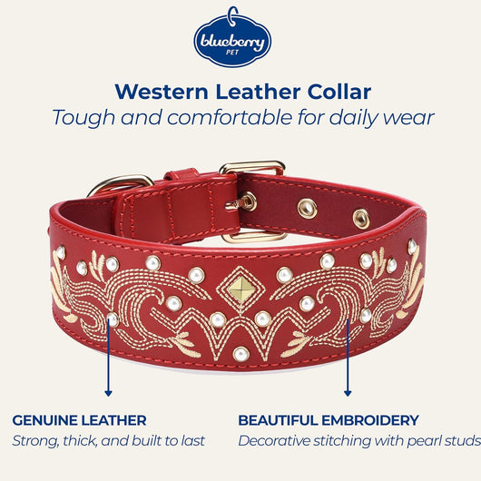 Western Leather Dog Collar | Floral Embroidered Studded Collar