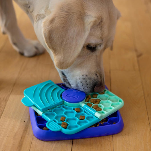 3-in-1 Dog Puzzle Lick Mat