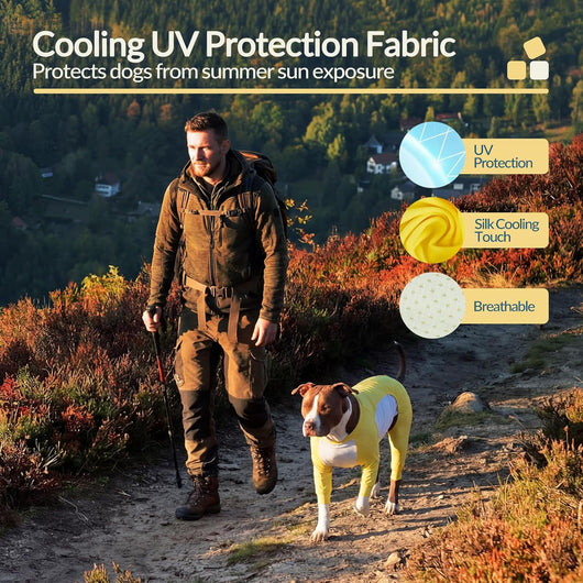 Big Dog I Cooling Shirt with UV Protection