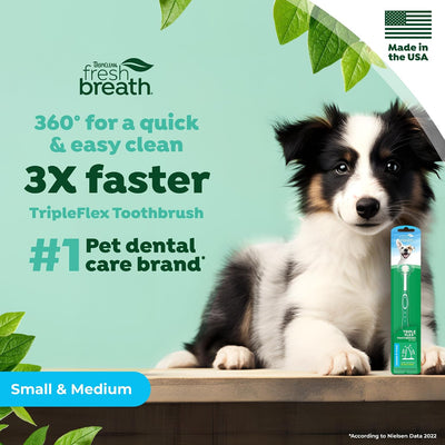 Triple Head Dog Toothbrush For Small Dogs