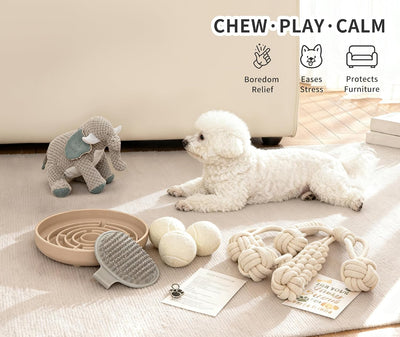 Puppy Starter Gift Basket I Essential Toy Collection