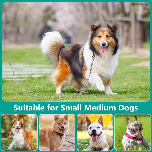15FT Heavy Duty Dog Chain for Outside
