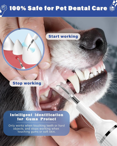 Ultrasonic Dog Toothbrush Dental Cleaning Kit