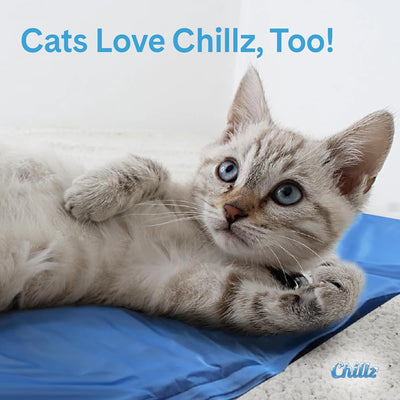 Chillz Cooling Dog Mat for Medium Pets