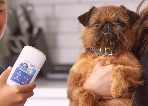 Twist + Lick Dental Gel for Dogs