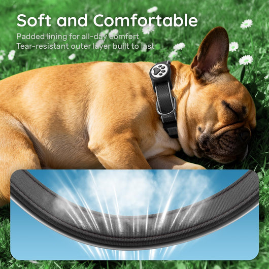 Dog Collar with AirTag Holder I Waterproof
