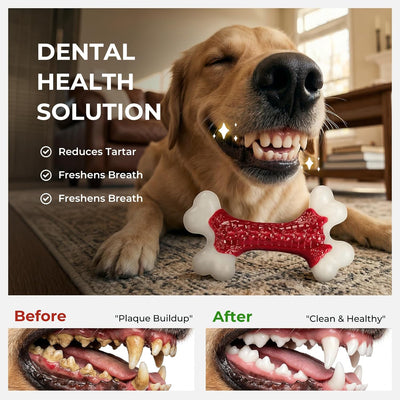 Kseroo Beef-Flavored Nylon Bone