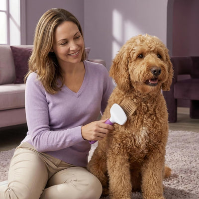 Professional Slicker Brush For Pet Grooming