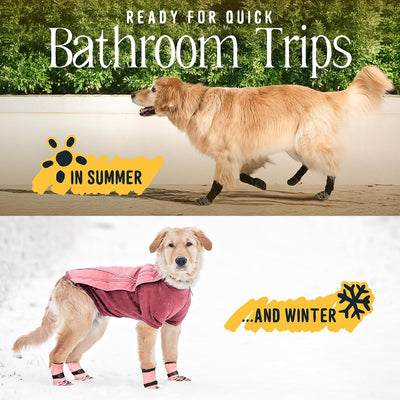 Non-Slip Dog Socks for Hardwood Floor Traction