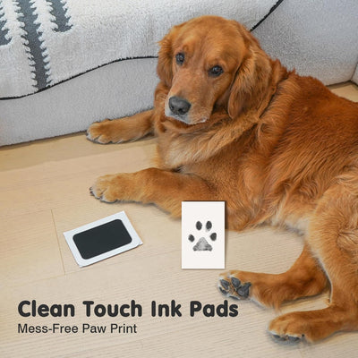 Inkless Paw Print Kit For Pets And Babies