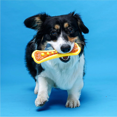 Hartz Dental Duo Chew Dog Toy