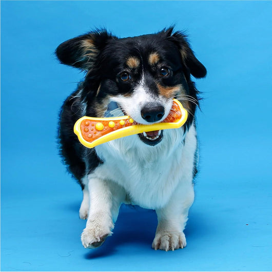 Hartz Dental Duo Chew Dog Toy