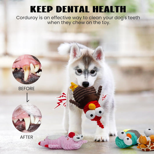 Squeaky Critter Dog Toys 5-Pack