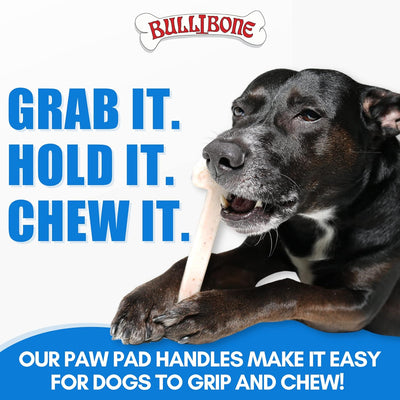 Dental Nylon Dog Chew Toy with Bacon Flavor