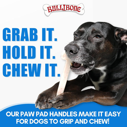 Dental Nylon Dog Chew Toy with Bacon Flavor