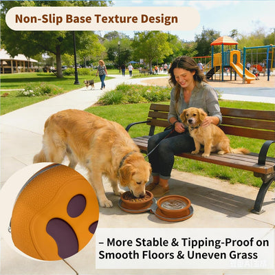 2-in-1 Collapsible Dog Travel Bowls with Carabiner