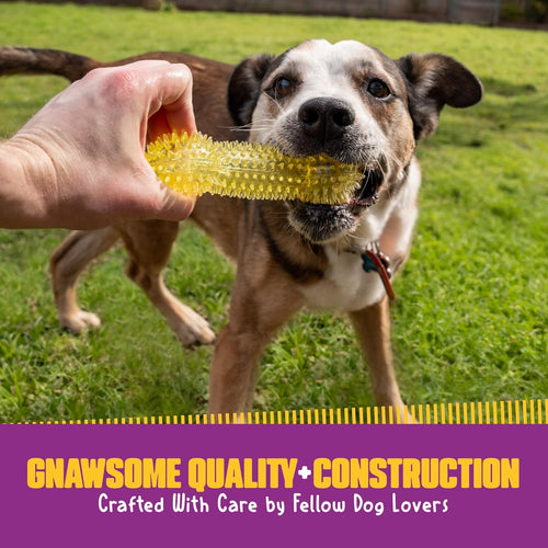 Spiky Squeaky Dog Bone Toy for Heavy Chewers
