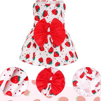 4 Pack Cute Dog Dresses for Small Dogs & Cats – Summer Puppy Dresses Set