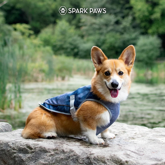 Evaporative Dog Cooling Vest for Summer Adventures