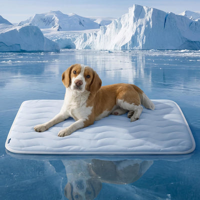 Bedsure Cooling Dog Mat For Crate Comfort