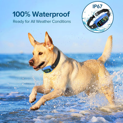 Rechargeable Smart Dog Bark Collar