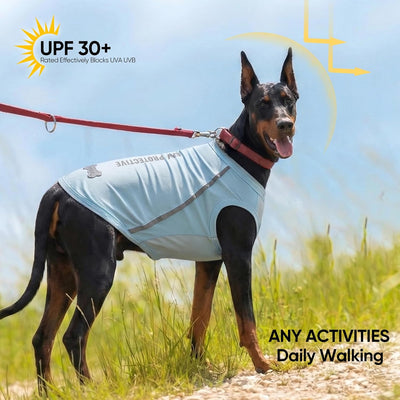 3-Pack Dog Cooling Shirt I UV Protection Reflective