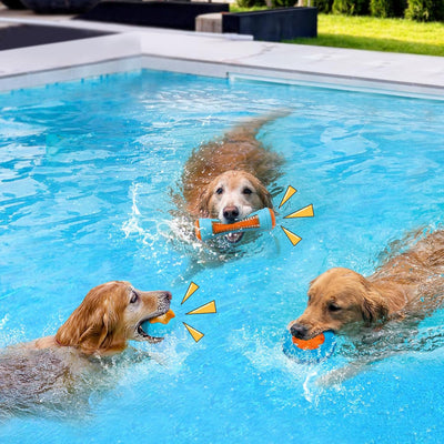 Floating Squeaky Dog Pool Toys Fetch Set