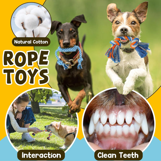 Puppy Teething Toy Set For Fun Healthy Chewing