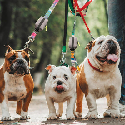 Durable Dog Poop Bag Holder Leash Dispenser