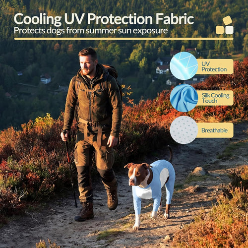 Big Dog Cooling Suit I UV Protection Blue color