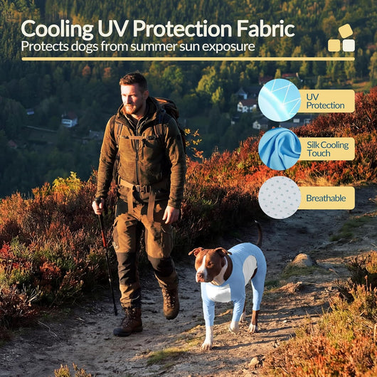 Big Dog Cooling Suit I UV Protection Blue color