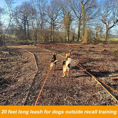 Leash Floating Recall Freedom For Active Dogs