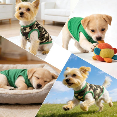 2 Pack Dog Shirts XS | Small Dog Summer Clothes