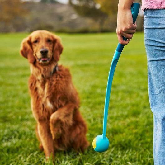 Dog Ball Launcher for Fetch