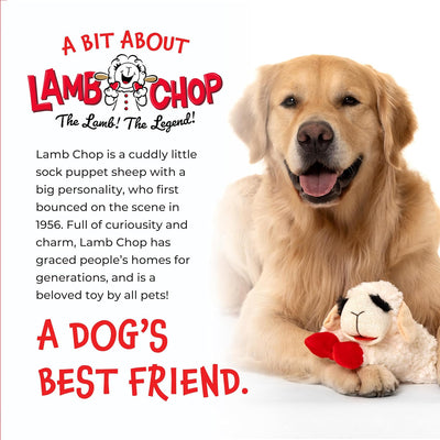 Squeaky Lamb Plush Toy for Cuddles