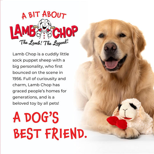 Squeaky Lamb Plush Toy for Cuddles