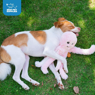 Squeaky Octopus Plush Dog Toy