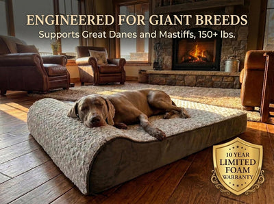Orthopedic Dog Bed I XXL Memory Foam
