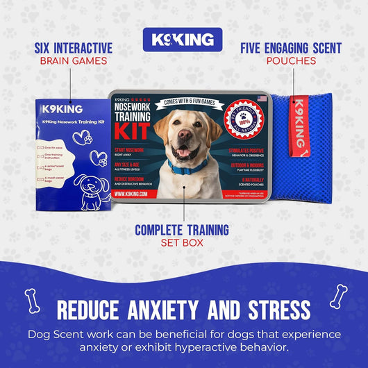 Nose Work Scent Training Kit For Calmer Dogs
